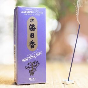 Morning Star – Hoa oải hương | 200 que