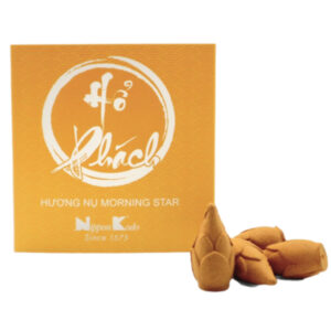 Morning Star – Hương nụ mùi Hổ phách | 10 nụ