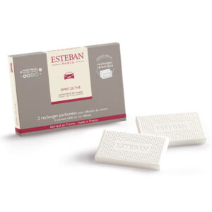 Esteban – Kẹp sứ thơm cửa gió ô tô | Mùi thơm Esprit De The