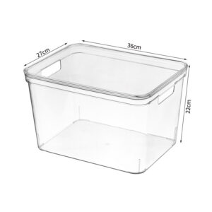 Transparent Multi-Purpose Desktop Tray With Handle